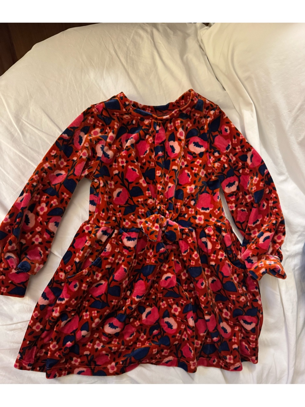 Girls Floral Velvet Long-Sleeve Dress in fall colors